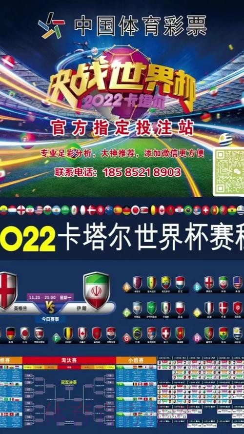 比利时世界杯投注站攻略